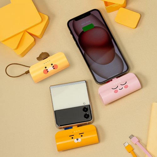 ヒップスタードッキング型補助バッテリー5000mAh（Cタイプ/8ピン） 5,355円