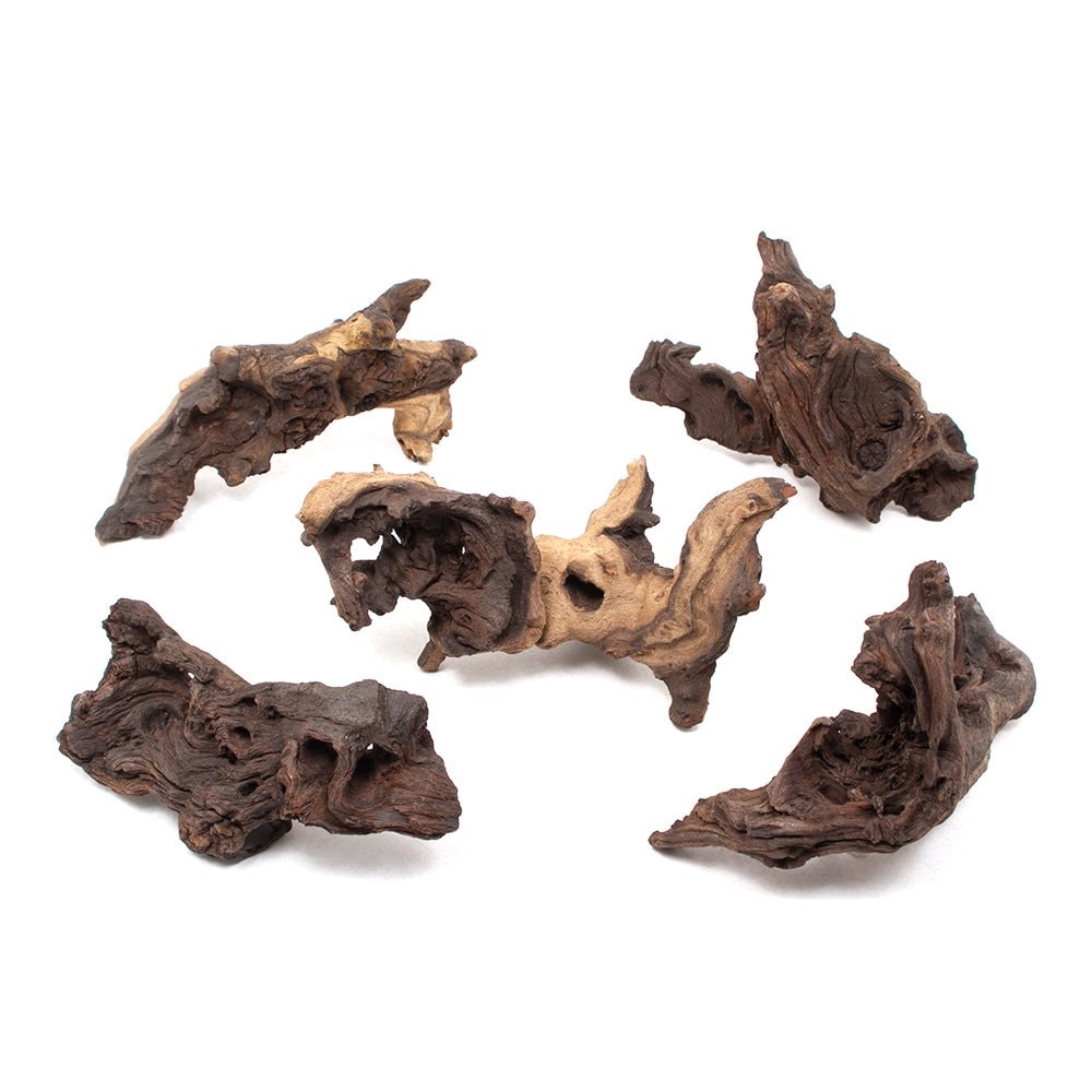形状お任せ　煮込み済み　モパネウッド　Ｓサイズ（約１５ー２５ｃｍ）　５本　アクアリウム　レイアウト素材　流木　ＣＲＣ21―10―20―20―00