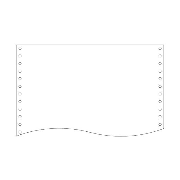 （まとめ）トッパンフォームズ NIPフォーム15×11インチ 1P 白紙 縦ミシン無 1510D1 1箱(2000枚) (×2セット)