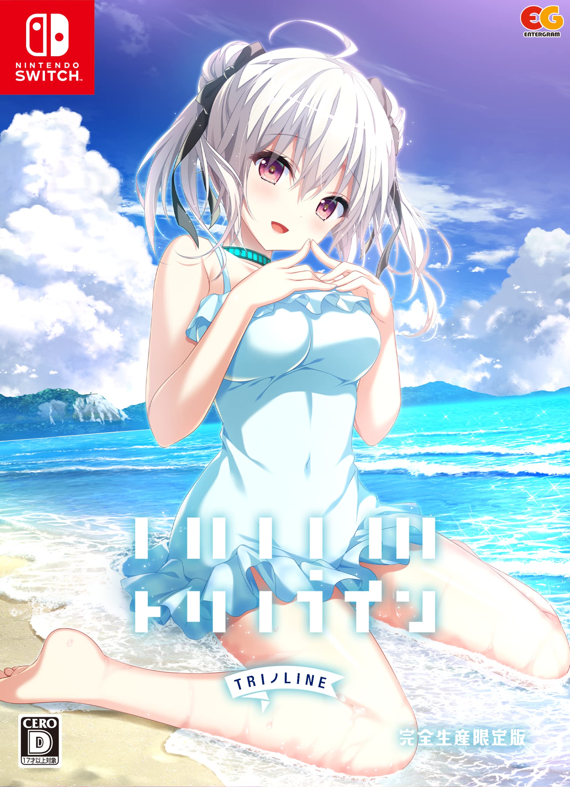 全国送料無料 トリノライン 完全生産限定版 -Switch 【Amazon.co.jp限定】A4クリアファイル 同梱 ＆ 【特典】アクリルオーナメント 同梱