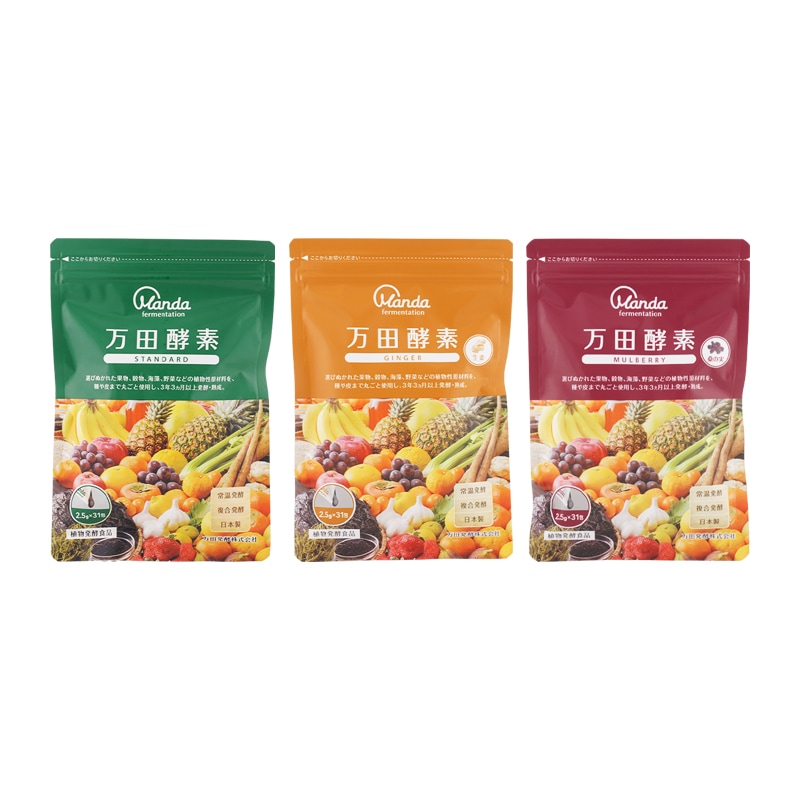 STANDARD GINGER MULBERRY [3種類から選べる][2個セット] [組合せ自由]ペースト 分包 タイプ 健康習慣 [ギフトラッピング対応]