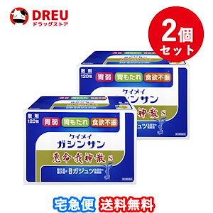 お得な2個セット！送料無料！恵命堂 恵命我神散S ３ｇ１２０包 第２類医薬品 恵命我神散S 恵命我神