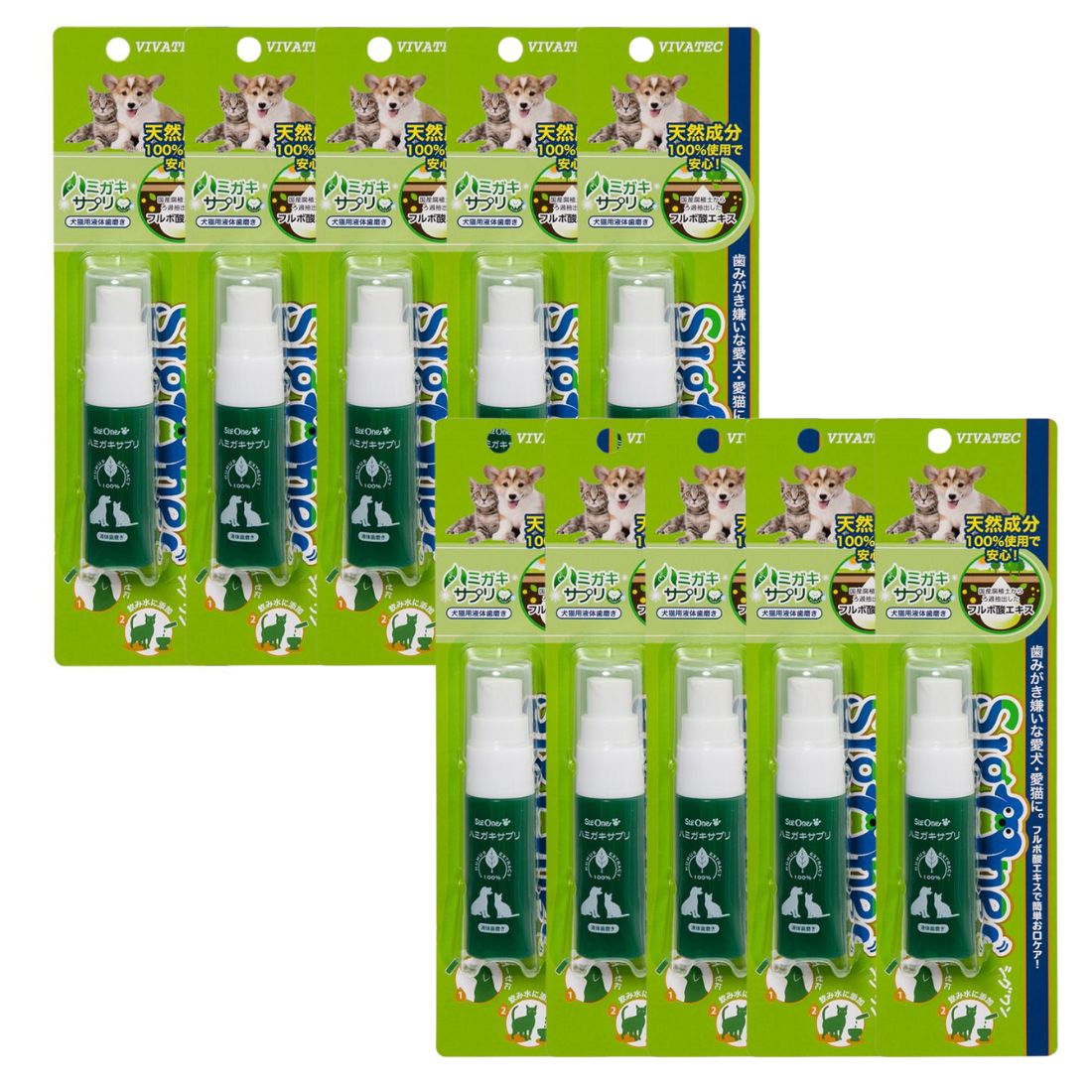 【10本セット】ビバテック シグワン ハミガキサプリ R 20mL