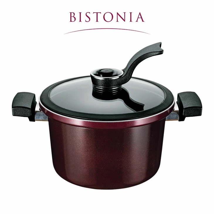 ビストニア 真空 煮込み鍋 19cm 減圧鍋 真空調理 真空煮込み 鍋 ガスコンロ対応 IH対応 レシピ付き MB-2915