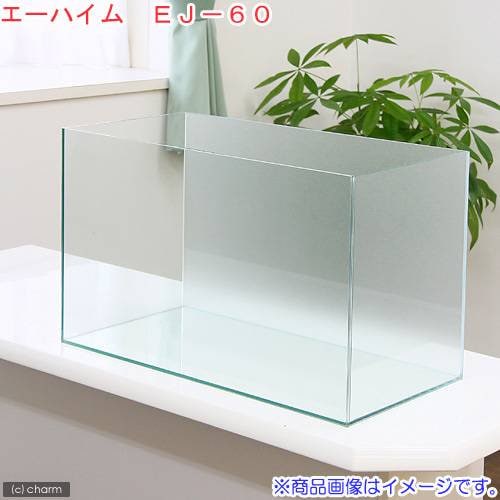 バックスクリーン貼付済　エーハイム　ＥＪ－６０　６０ｃｍ水槽　サンド（６０X３０X３６ｃｍ）（単体）　お一人様１点限り　ＣＲＣ10―11―01―50―00