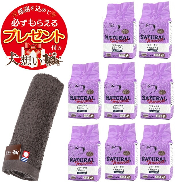【プレゼント付き】ナチュラルハーベスト フラックス [結石ケア用食事療法食] 1.47kg 8袋 【犬想いオリジナル今治ハンドタオルセット】【タオルカラー モカ】【正規品】