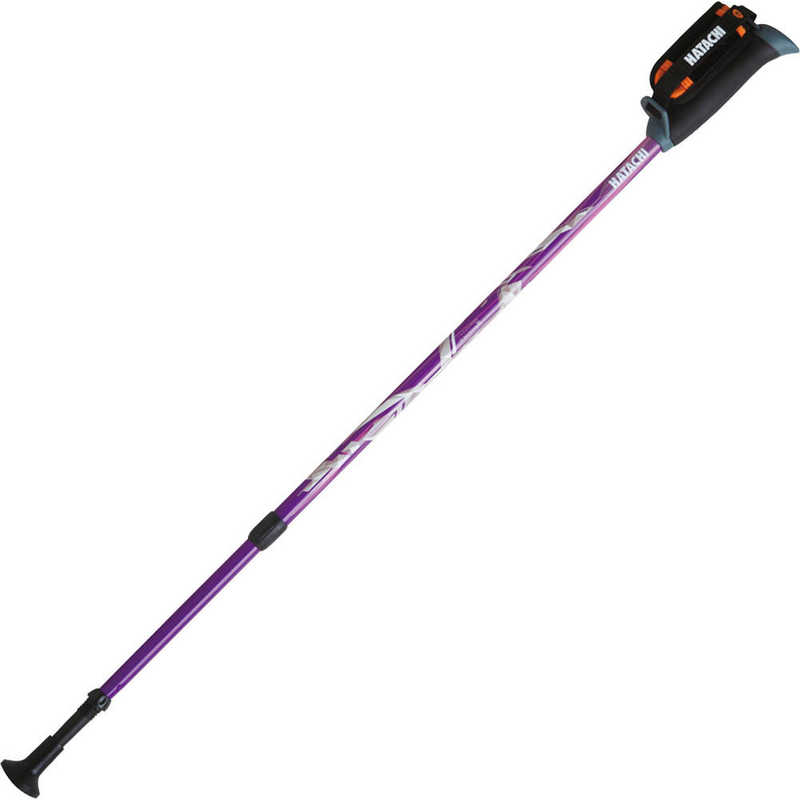 ハタチ　HATACHI DFP プログレッシブズーム(2本組) パープル　WH1120