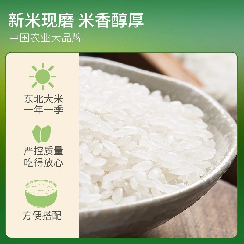 2024年産 東北産新米 真空パック 5kg