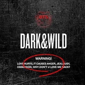 BTS 正規1集 Dark & Wild