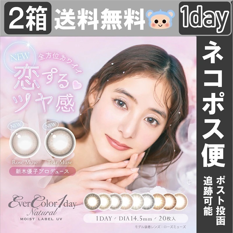 【Fellow おまけ付き】 新色追加 カラコン 1day エバーカラーワンデー ナチュラルモイストレーベルUV 新木優子【2箱40枚入】 度あり 度なし ローズミューズ ティアーミューズ ブラウンマ