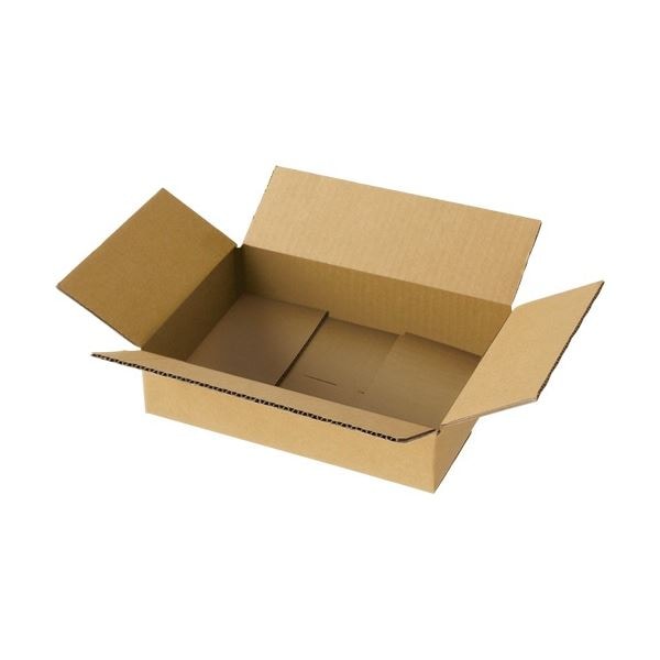 （まとめ）TANOSEE 軽量タイプ 宅配用段ボール 60-A4 1パック（20枚） [x3セット]