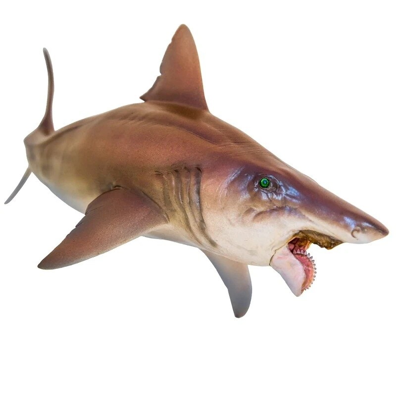 PNSO 成長シリーズ ヘリコプリオン 魚類 動物 フィギュア プラモデル おもちゃ 模型 リアル PVC 誕生日 プレゼント オリジナル 塗装済 完成品 21cm級