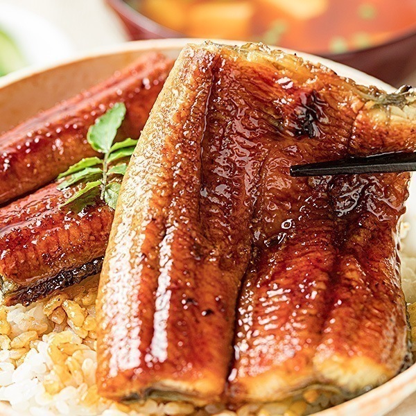 浜名湖産カット鰻 うなぎ ウナギ 蒲焼 蒲焼き うな重 国産ウナギ 国産鰻 うなぎ蒲焼き 土用の丑の日 8袋