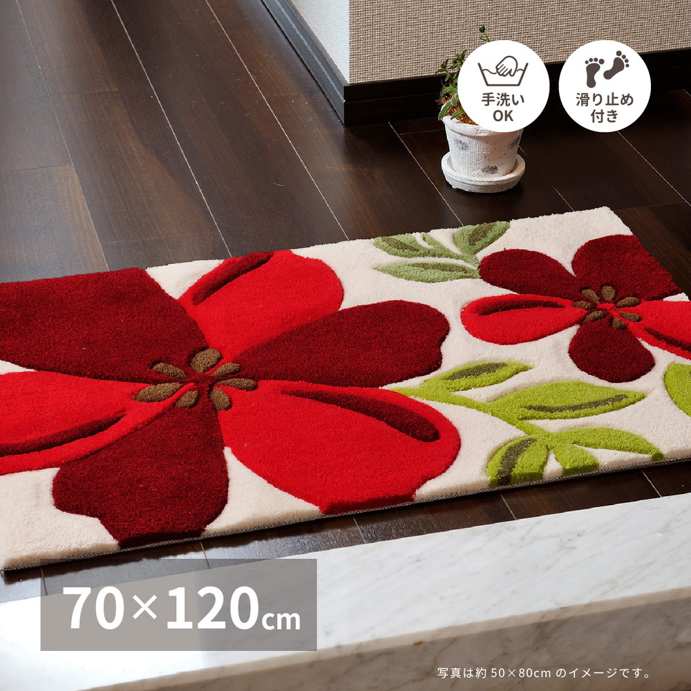 玄関マット [アベル] 70x120cm マルチカラー