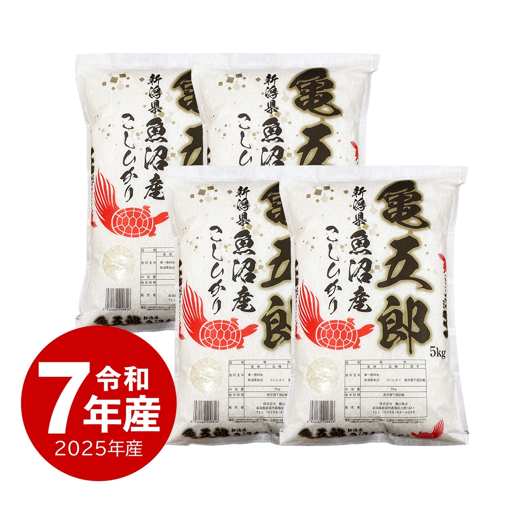 米 20kg 亀五郎さんのコシヒカリ 令和7年産 お米 白米 20キロ こしひかり