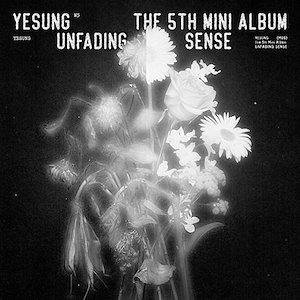 YESUNG (OF SUPER JUNIOR) - Unfading Sense (Photo Book Ver.)