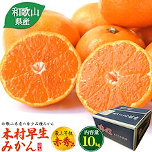 木村早生みかん 10kg 和歌山県 高井農園出荷 11月中旬頃出荷予定 おすそ分け 贈答品旬 秋 冬 和歌山 お取り寄せ フルーツ ギフト お歳暮