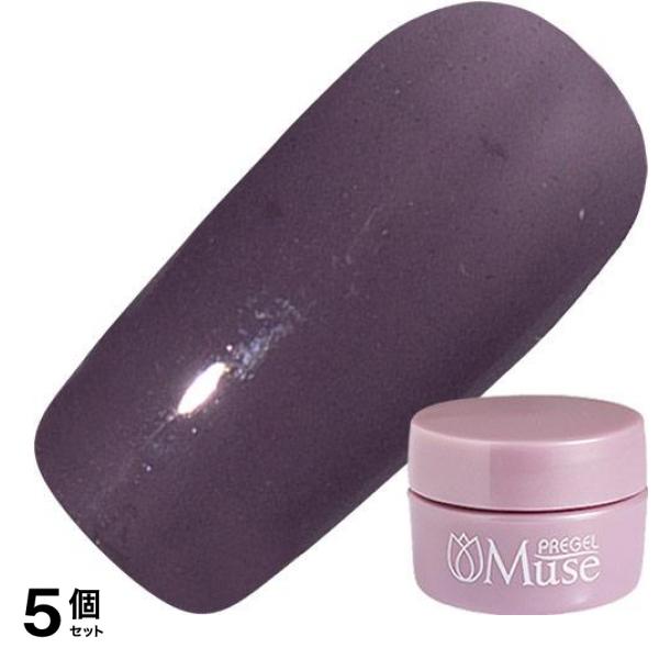 PREGEL(プリジェル) ミューズ S341 アンニュイアメシスト 3g 5個セット