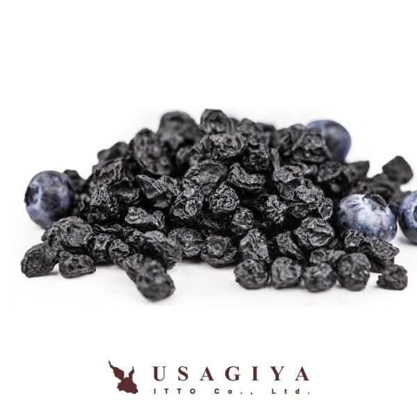 ブルーベリー 1kg 野生種 ワイルドブルーベリー 大容量 ドライフルーツ 乾燥果実 アメリカ 希少 アントシアニン ポリフェノール 健康 美容