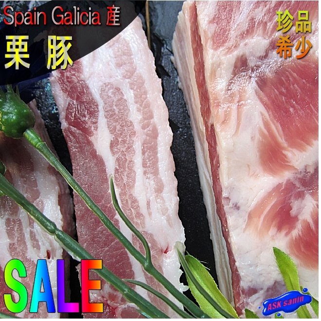 Spain Galicia「栗豚/バラ3 kg位」ブロックガリシア地方でしか流通していなかった希少な豚