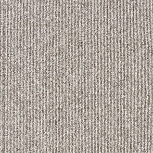 スミノエ タイルカーペット ECOS LP2097N 5050cm 20枚入 13248766 メーカー直送