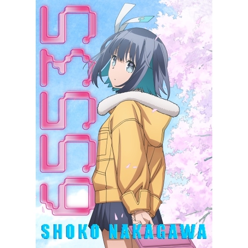 中川翔子 ／ 65535(完全生産限定盤) (CD) SRCL-12658 6,890円