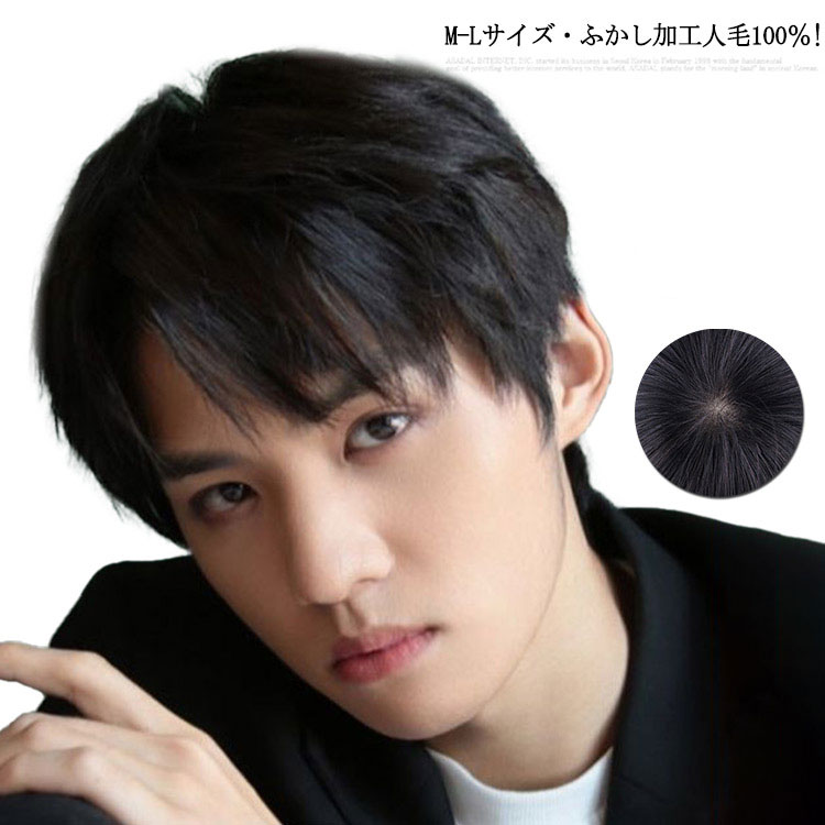 メンズウィッグ 男性用かつら メンズウイッグ 人毛100% フルウィッグ ショートスタイル ナチュラル 黒髪 薄毛カバー 医療用 白髪隠し