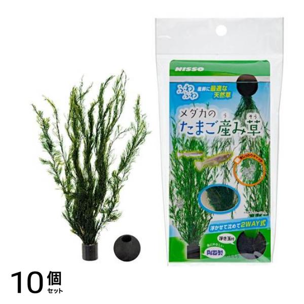 ニッソー メダカのたまご産み草 1セット 10個セット