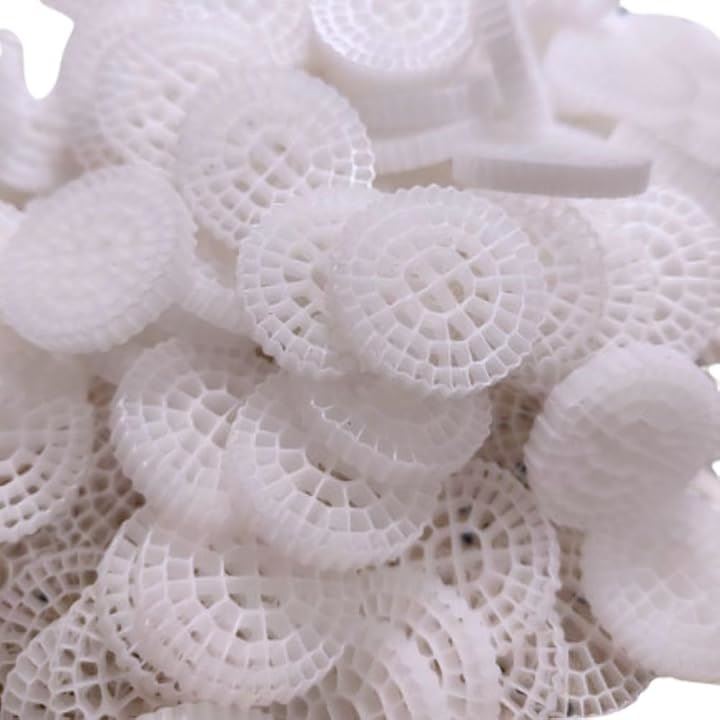 流動濾過材 MBBR ろ材 水槽用 ろ過材 流動フィルター バイオフィルター K 5 25mm( ホワイト, 1000g)