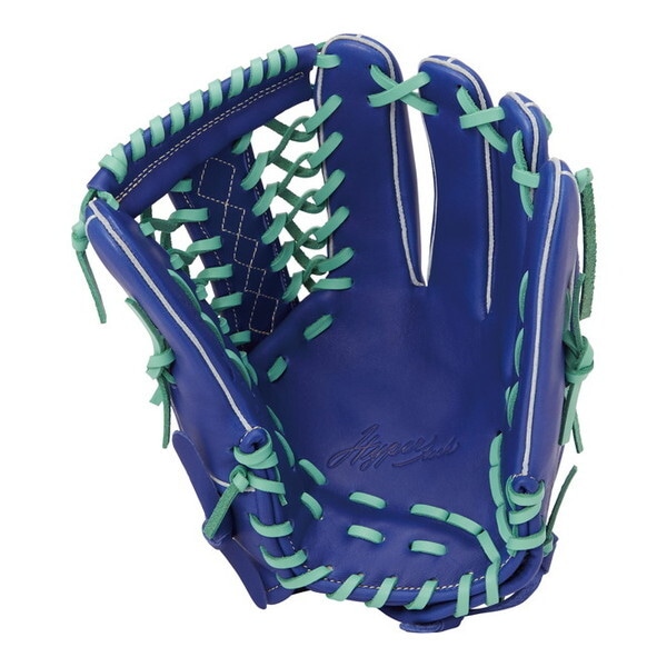 ローリングス 野球 レディースソフト用グローブ ソフト ハイパーテック R2G S65 インディゴ GS4FHTS65-IND