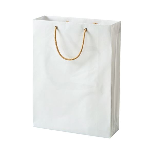 （まとめ） TANOSEE ビニールカバー付手提げ袋 M ヨコ330タテ440マチ幅110mm 白無地 1パック（10枚） 10セット