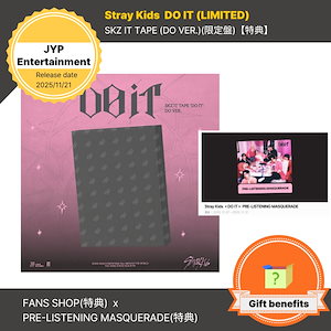 stray kids do it skzoo