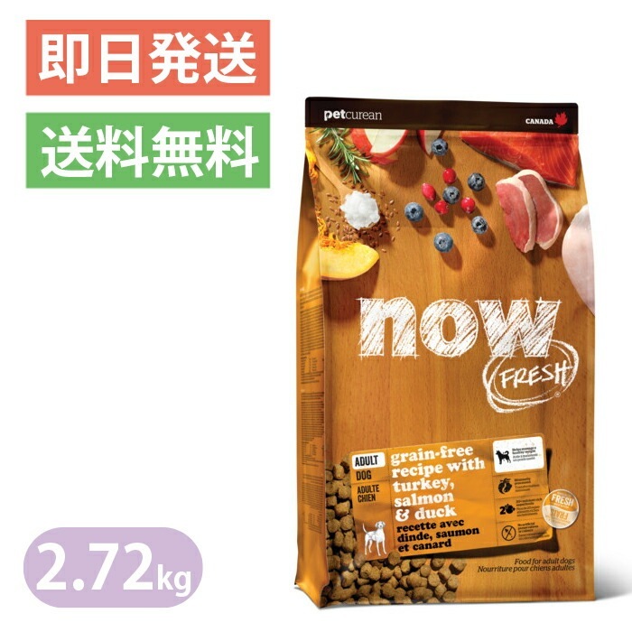ナウフレッシュ グレインフリー アダルト 2.72kg 普通粒 レギュラー粒 ドッグフード NOW FRESH