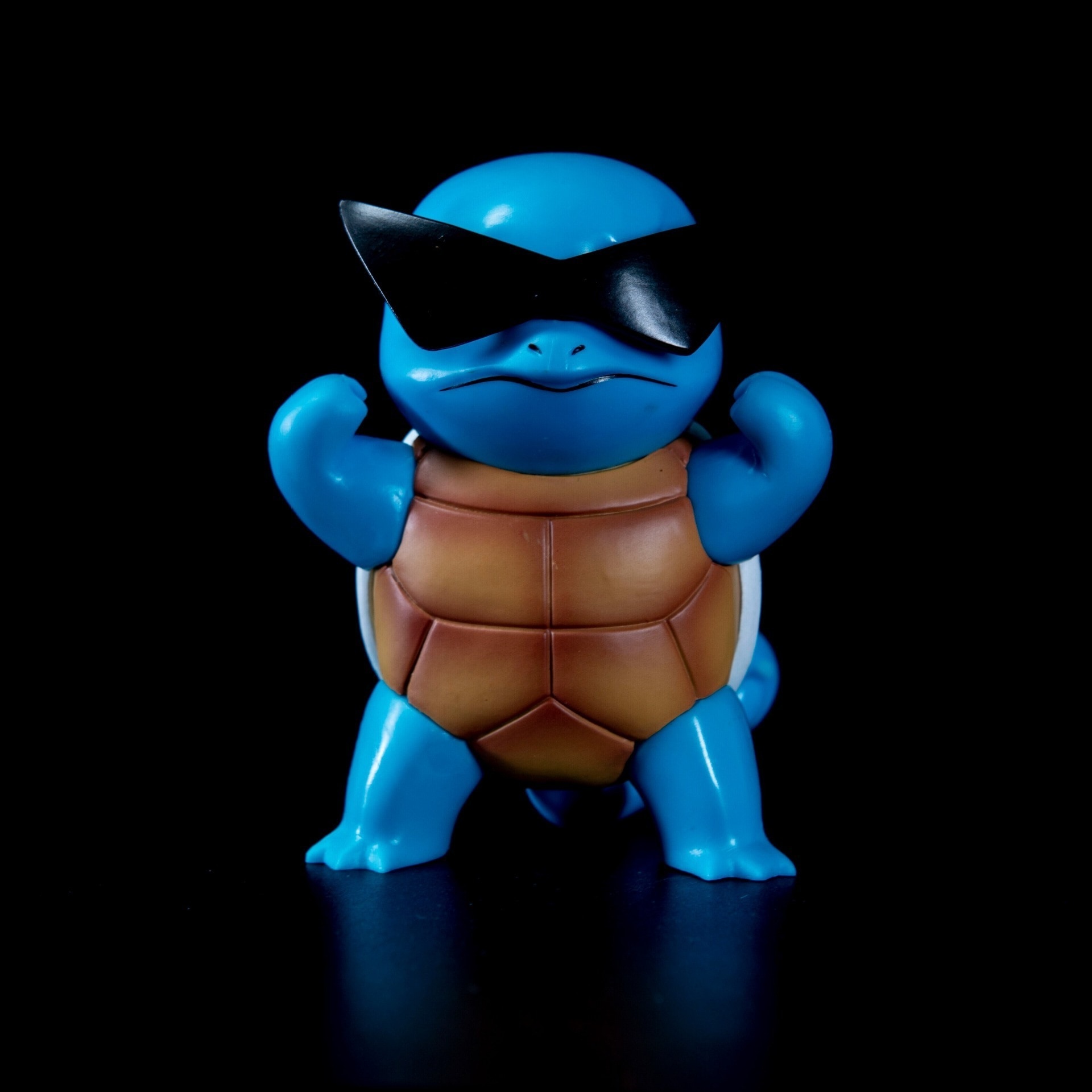 Qoo10] ポケモンシリーズゼニガメサングラススカー : おもちゃ・知育