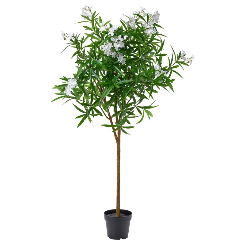 FEJKA フェイカ 人工観葉植物 - 室内/屋外用/キョウチクトウ ホワイト 19cm