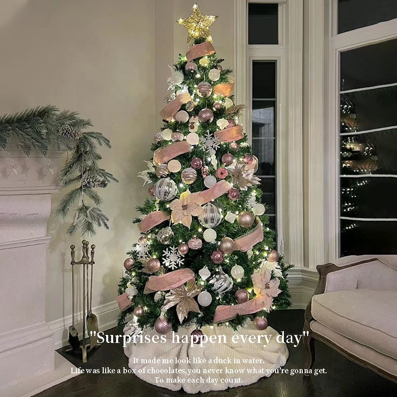 クリスマスツリーホームパッケージクリスマスデコレーション23インターネットセレブの雰囲気インスタイルクリスマスデコレーション