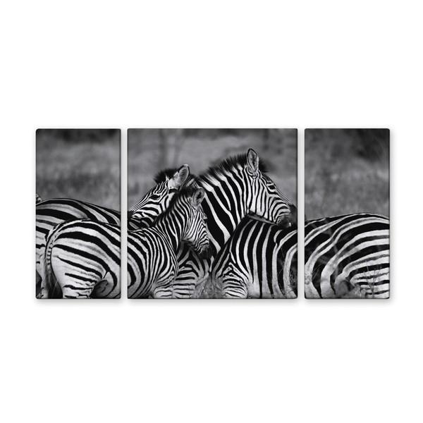 ファブリックパネル アートフレーム 飾り おしゃれ 風景 壁掛け ウォールデコレーション 情景 zebra mono シマウマ 1000x500mm