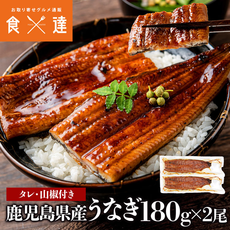 うなぎ 鰻 国産 無投薬 約180g x 2尾 鹿児島県産 ウナギ 蒲焼き 土用丑 山田水産 ギフト お取り寄せグルメ 食品 指定日不可