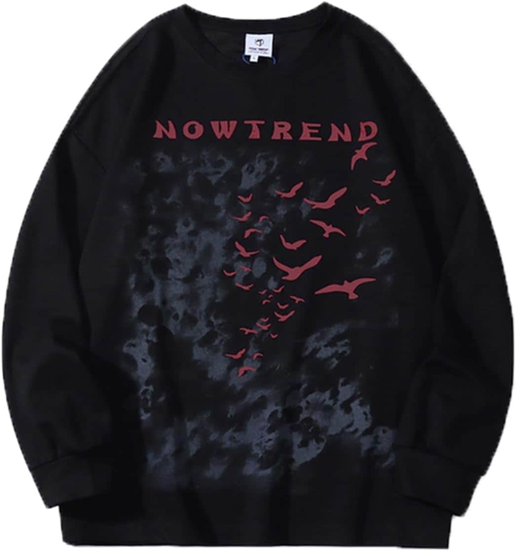 フルオーバー 長袖 鳥柄 トレーナー メンズ パーカー トレーナー ボア付き 丸首 小さいサイズ ロンt 薄手 秋服 春服 ヒップホップ 耐摩耗 ソフト コンフォート きれいめ 通勤 普段着 トレッキ