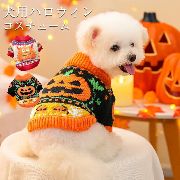 Qoo10] 犬服 ハロウィン かぼちゃ コスプレ衣装