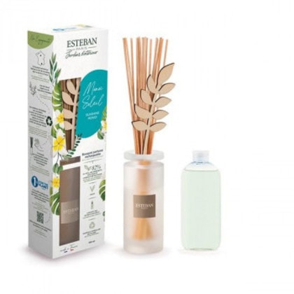 日本香堂 インテリアガーデン ナチュール モノイソレイユ ラタンブーケディフューザー 52501