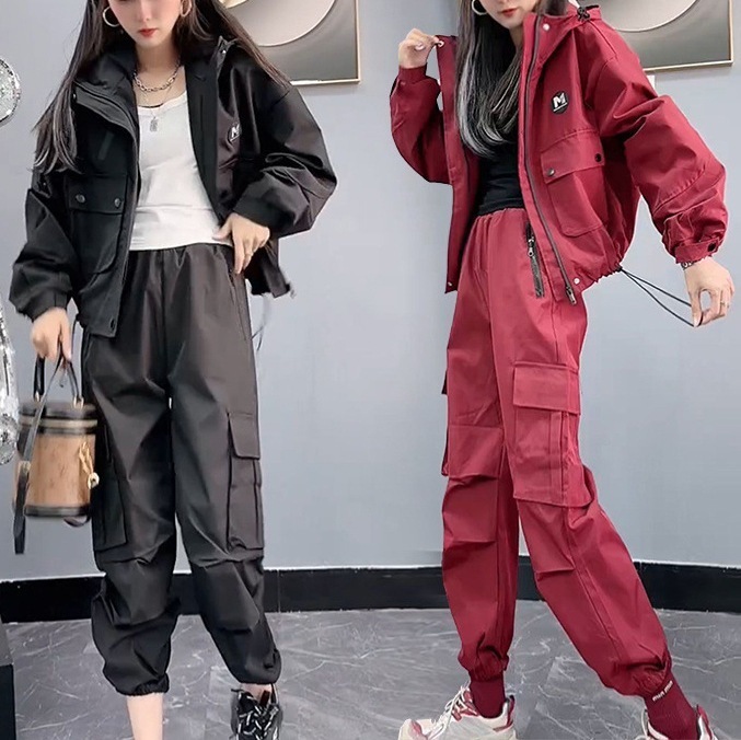 ハイエンドのカスタマイズ-2024 春と秋の新カジュアルワークスーツ女性のトレンディな多用途ジャケットとズボンの完全なセット 2 点セット