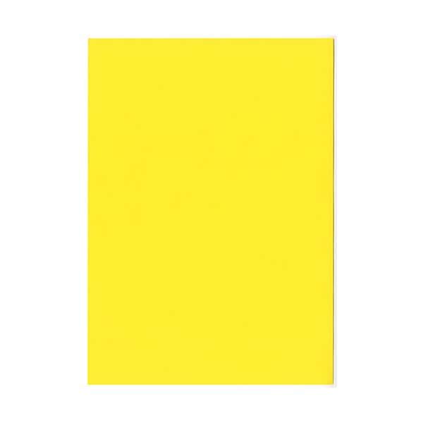 北越コーポレーション 紀州の色上質A4T目 薄口 黄 1箱(4000枚:500枚×8冊)