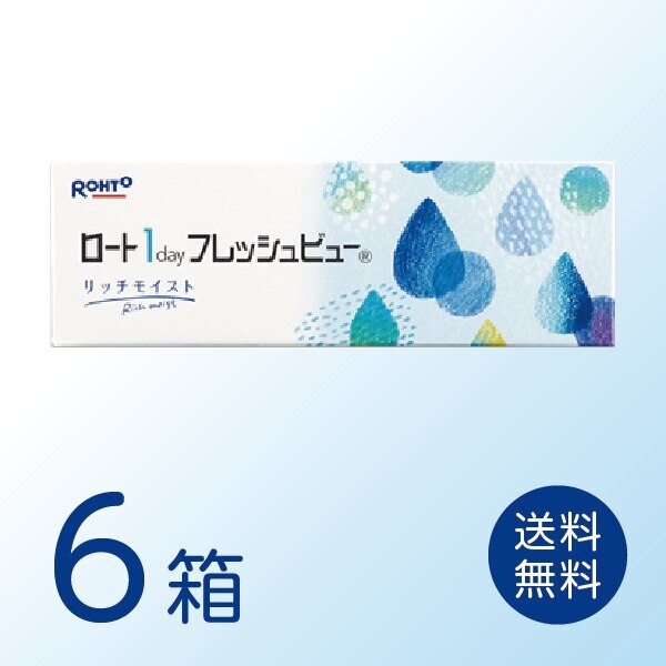 ロート ワンデーフレッシュビューリッチモイスト 6箱セット (1箱30枚) 11,700円