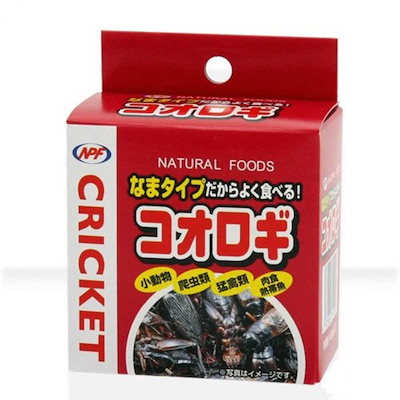 他サイト： コオロギ　ＮＰＦ　コオロギ（缶入り）　４０ｇ　両生類・爬虫類　ハリネズミ　フード　餌　エサ　缶詰　ＣＲＣ17―20―30―20―00の商品画像