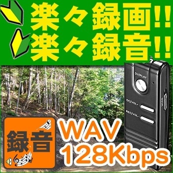 小型カメラ盗撮厳禁超小型マイクロミニデジタルビデオカメラ