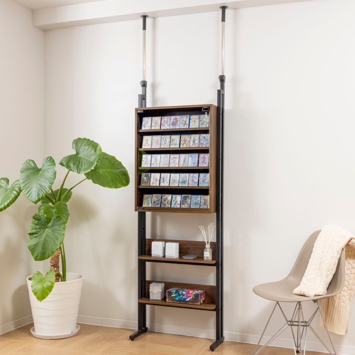 突っ張り ディスプレイラック 幅60cm カード 耐震 突っ張り棚 スリム コレクションケース 壁面収納 つっぱり ラック 壁面ラック 壁面 天井つっぱり コレクション ディスプレイ