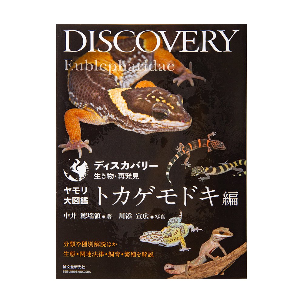 ディスカバリー生き物・再発見　ヤモリ大図鑑　トカゲモドキ編　ＣＲＣ17―95―17―00―00