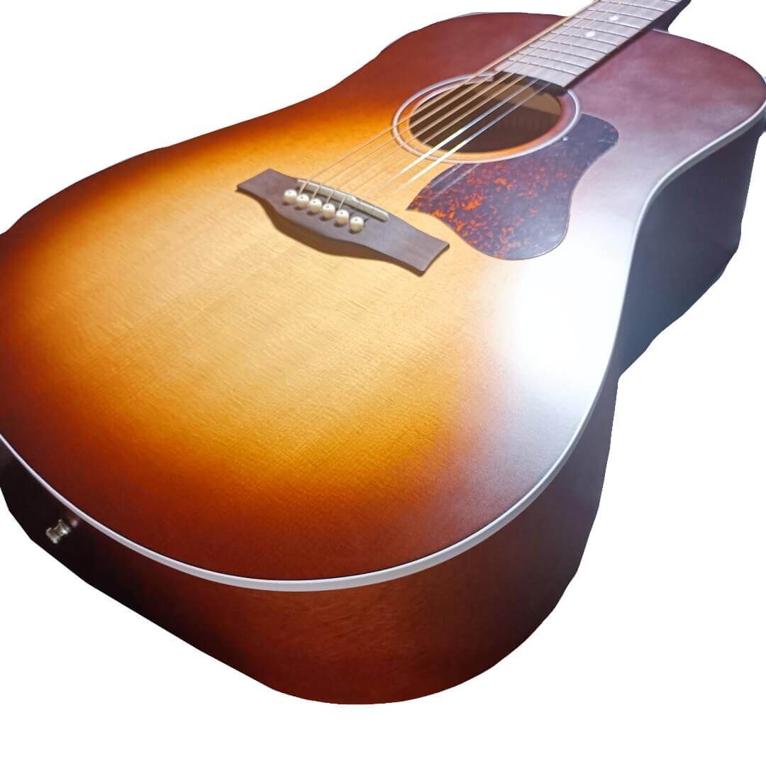 Seagull Entourage Autumn Burst アコースティックギター