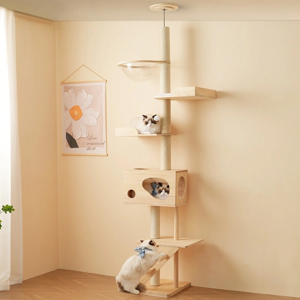 【国内即日発送】キャットタワー 猫タワー キャットツリー スリム 突っ張り 高さ260cm 木登りタワー ネコタワー 宇宙船付き 上り下りしやすい 爪とぎポール 木製 可愛い 子猫 大型猫 マット付き